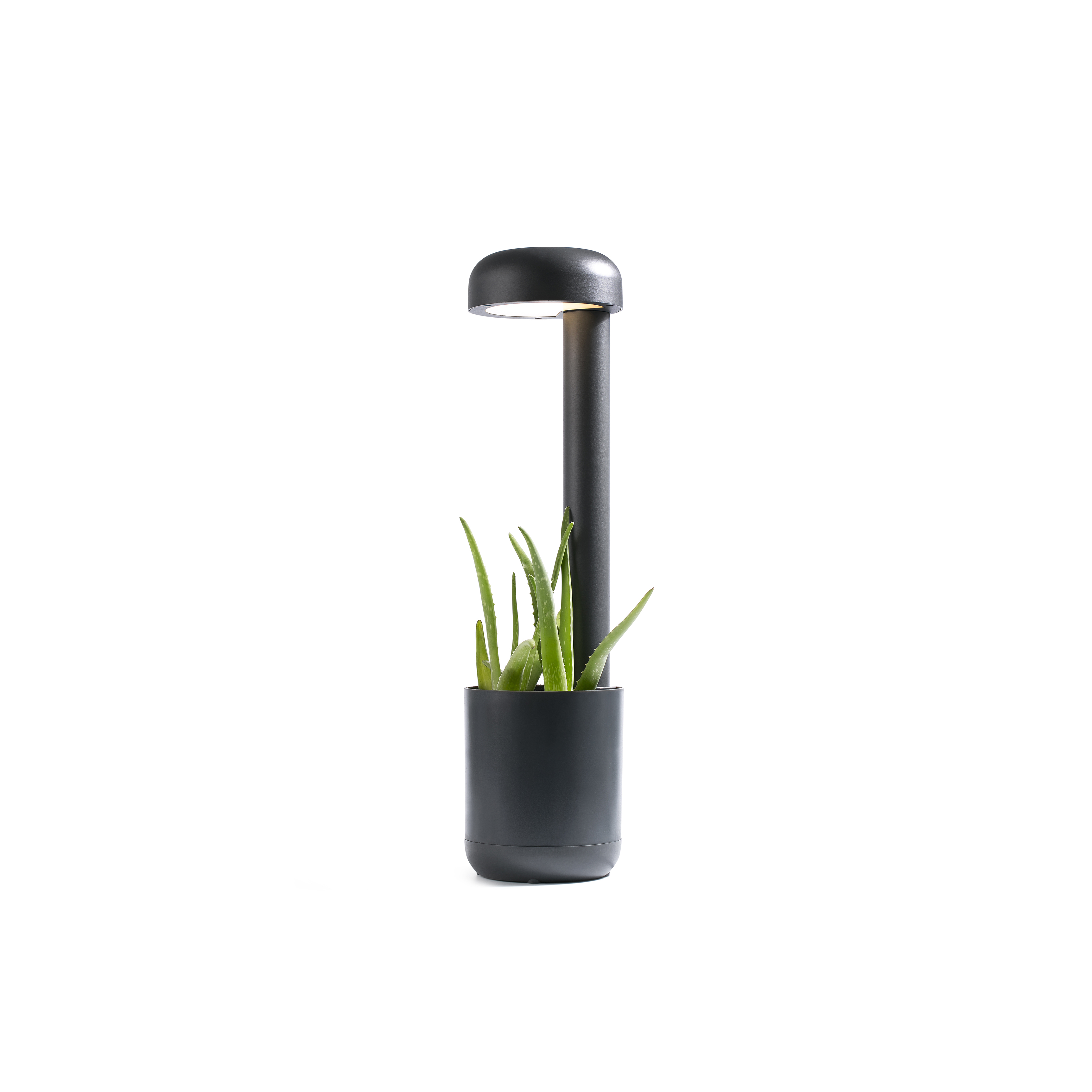 ILUMINACION EXTERIOR FAROLAS iluminacion exterior farolas: