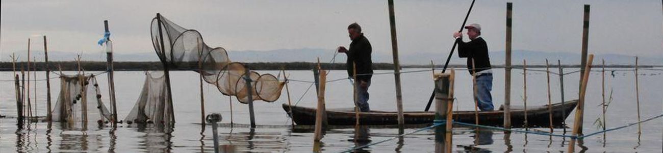 NUEVA CARTA :: Novedades del restaurante La Sequiota :: Restaurante La Sequiota en el Palmar Valencia, Paellas Valencia, Paella en La Albufera, Paseo en barca Albufera, Arroz La Albufera ::