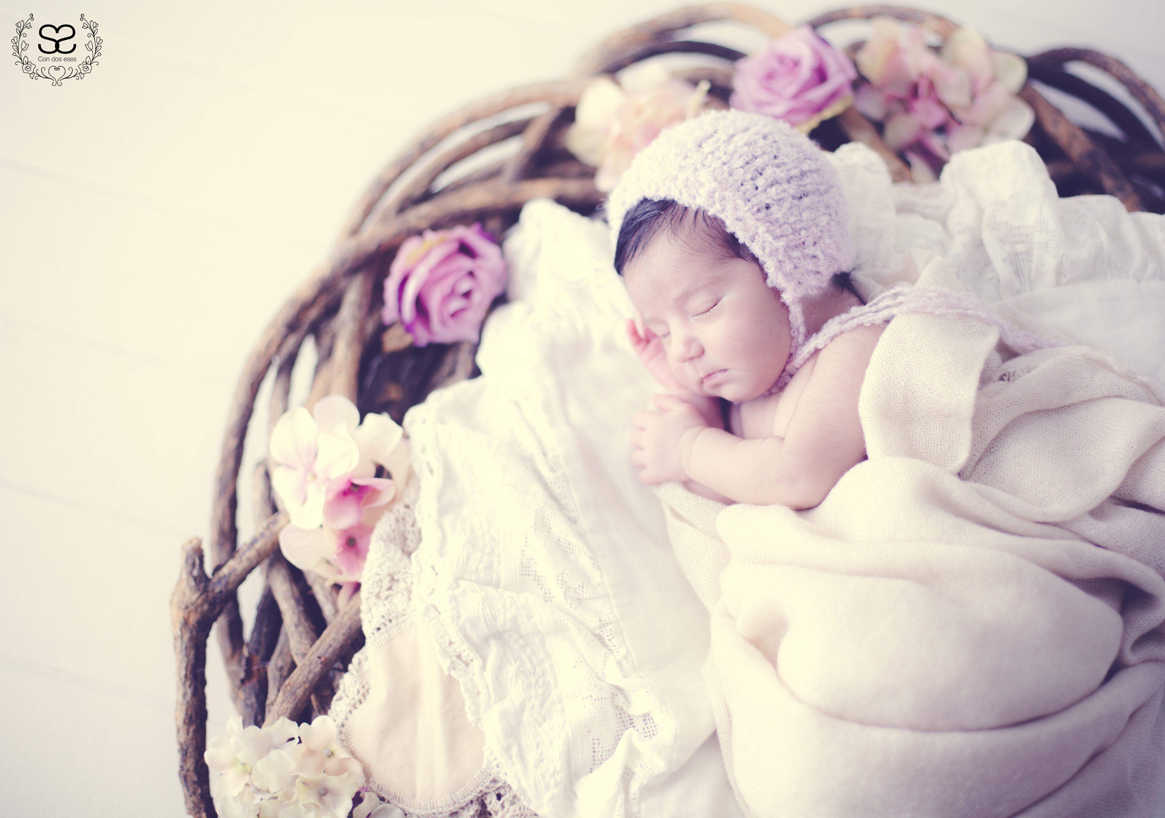 Elsa 7 días