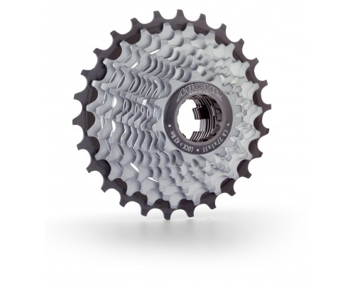 P65-MICHE-1514H01 11-25