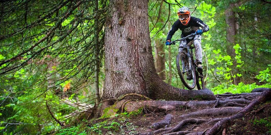 KM BIKES TE LO PONE FACIL PARA CAMBIAR TU BICI