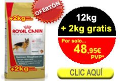 OFERTÓN RC LABRADOR 12KG+2KG GRATIS