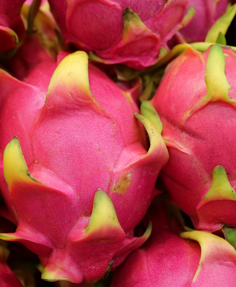PITAYA ROJA

