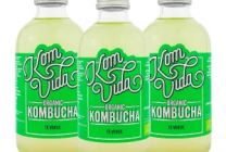 Kombucha GreenVida Komvida 250ml | ecológico