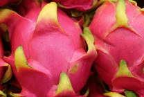 Pitahaya Roja 500g.