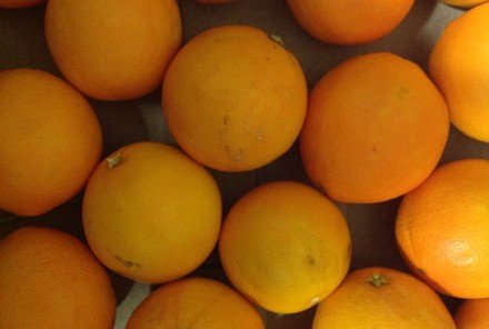 Caja Naranjas Ecológicas Zumo 10kg
