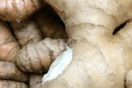 Raíz Jengibre Fresco Ecológico 100grs.