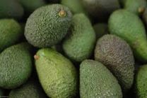 Aguacate Hass Ecológico 500grs.