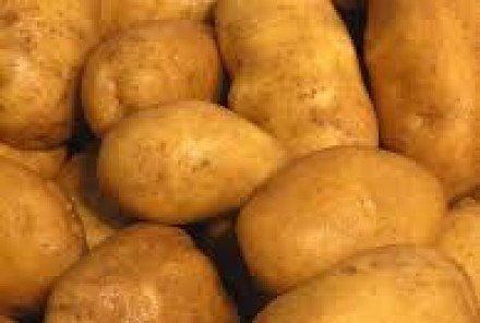 Patatas Agria Ecológicas 1kg.