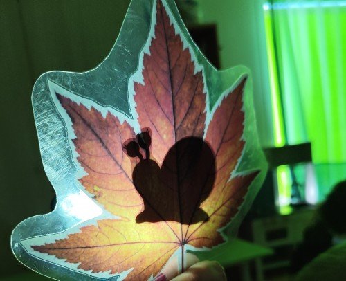 BUSCAMOS CON LINTERNAS