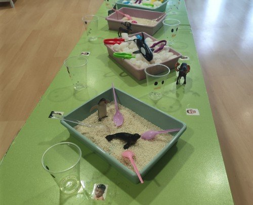 PROVOCACION INVIERNO 2