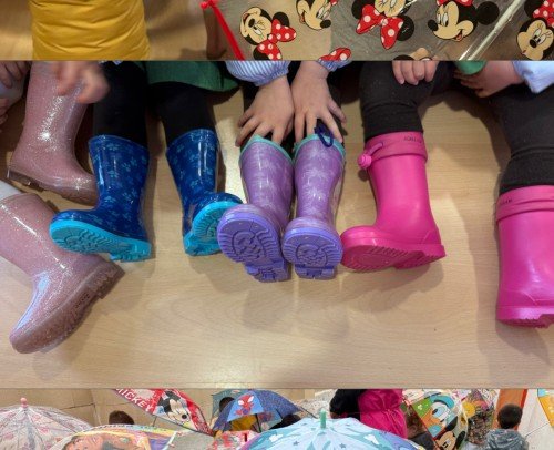 Activitat de la plutja