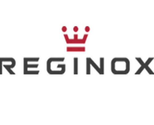 reginox fregaderos