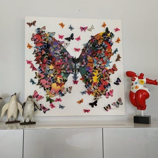 Cuadro mariposa