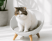 cama-gato-2.png