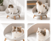 cama-para-gatos-valencia.png