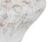 00lp308425_006_viso.jpg