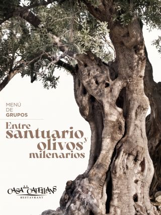 MEN&Uacute; DE GRUPOS