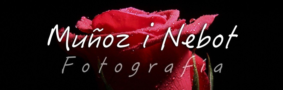 Muñoz i Nebot, Books fotográficos Profesionales Valencia - Books fotográficos Profesionales Torrente, Xirivella, Alaquas