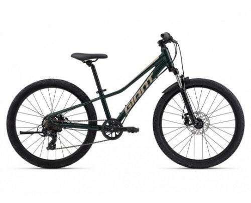 GIANT TALON 24 DISC 2025
