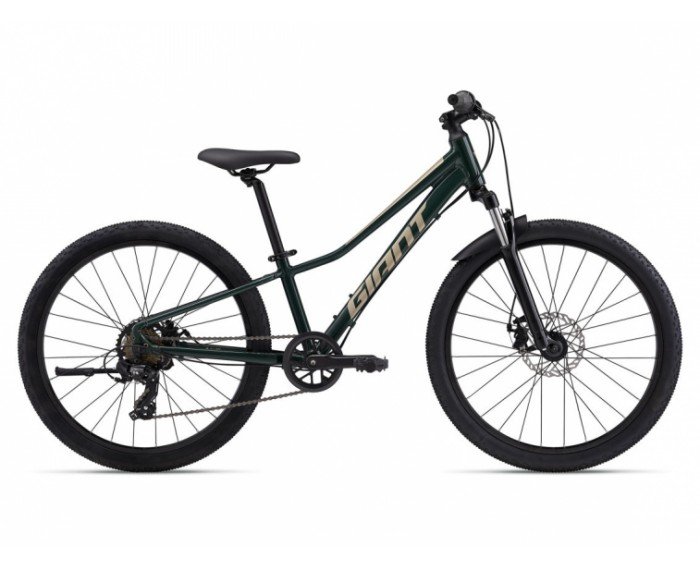 GIANT TALON 24 DISC 2025