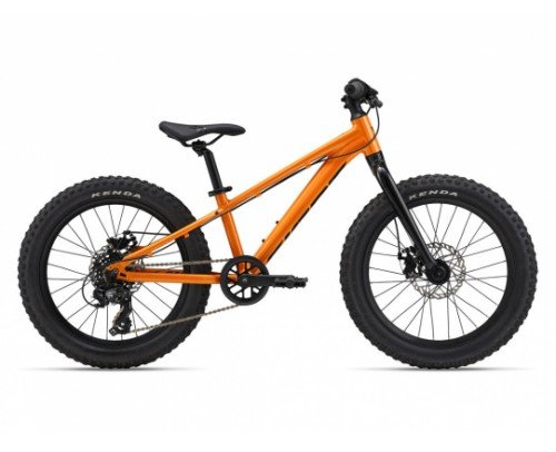 GIANT STP 20 DISC 2025