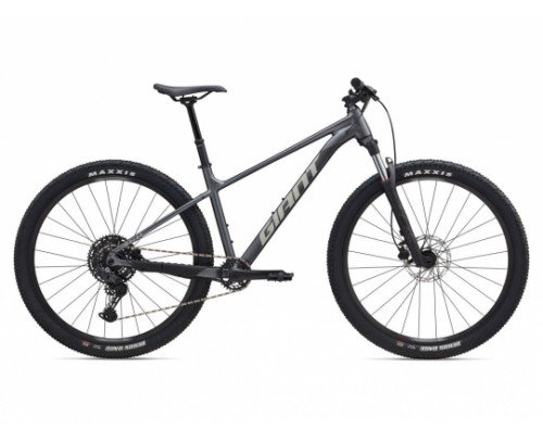 GIANT TALON 1 29 2025