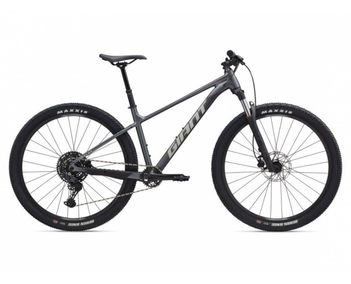 GIANT TALON 1 29 2025