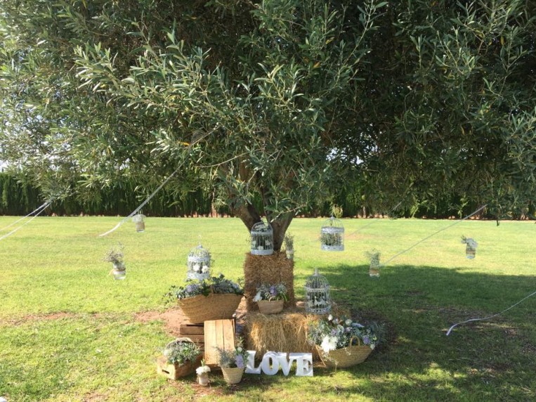 Una boda en julio en Masia de las Estrellas erase-una-vez-bodas-masia-de-las-estrellas-julio-2016-5.jpg
