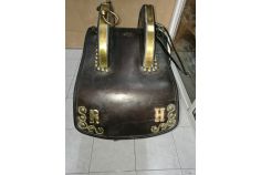 Sellon carro