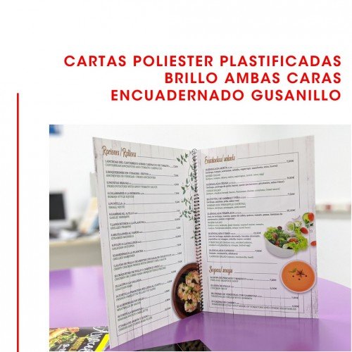 CARTAS POLIESTER PLASTIFICADAS BRILLO AMBAS CARAS ENCUADERNADO GUSANILLO