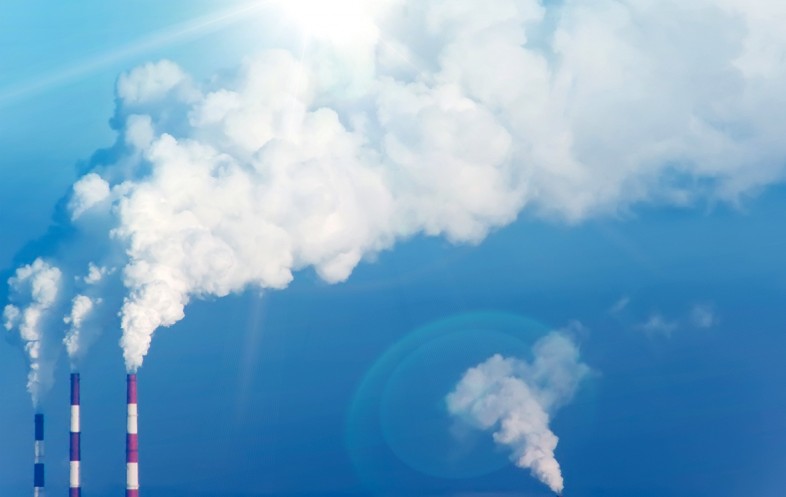 LA CONTRIBUCIÓN DEL PAPEL PARA DETENER EL CAMBIO CLIMATICO febrero.jpg