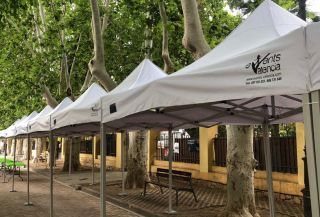 ALQUILER DE CARPAS
