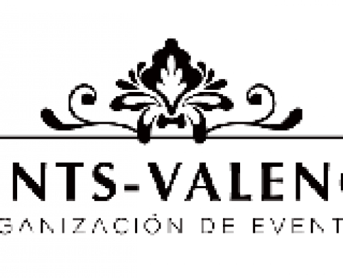 video corporativo discomovil fallas 2019