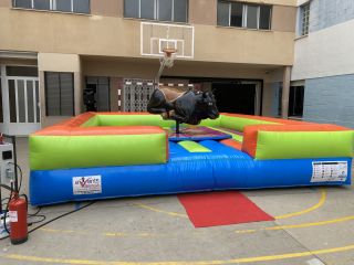 TORO MECANICO EN VALENCIA