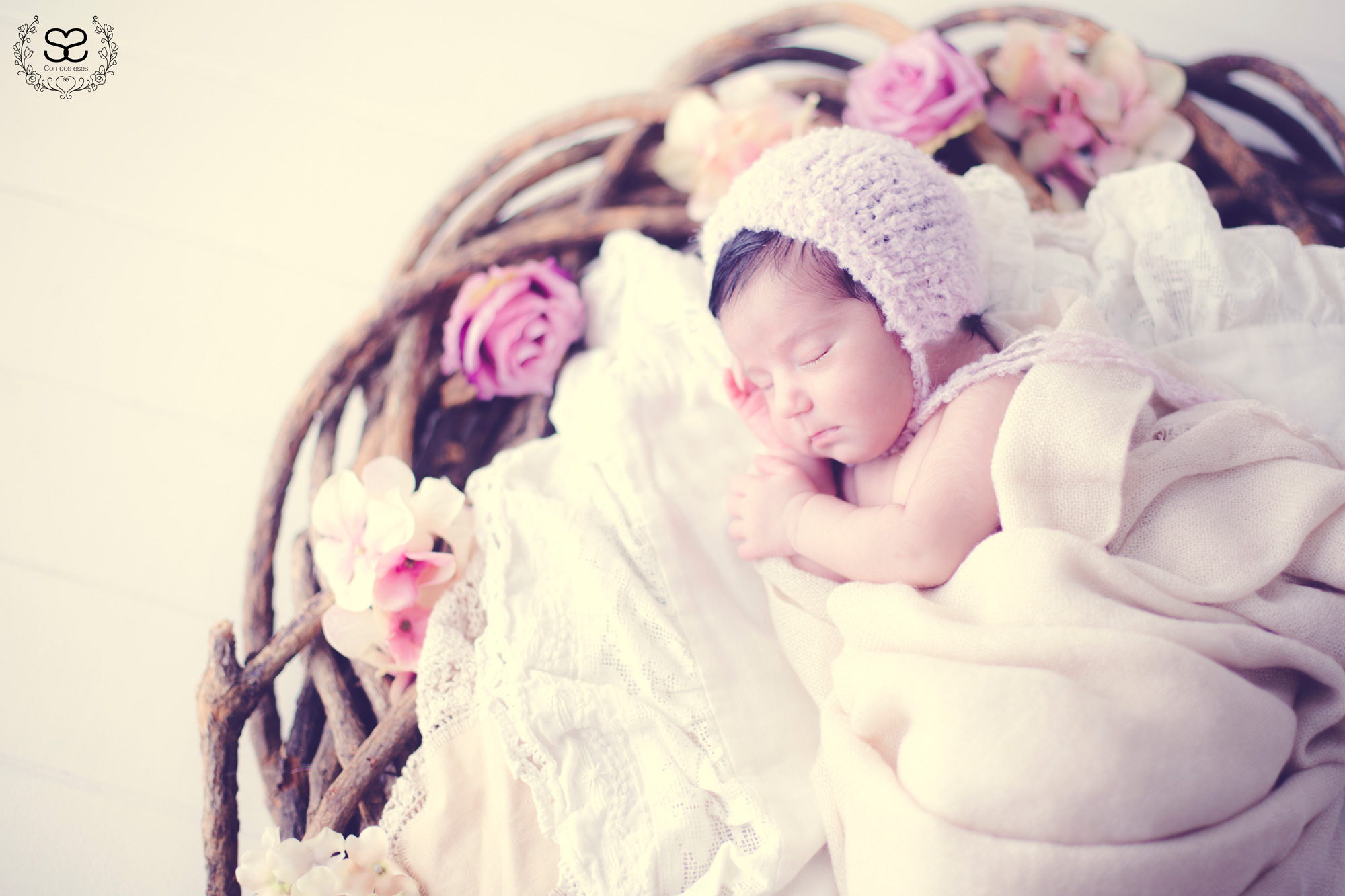 Elsa 7 días