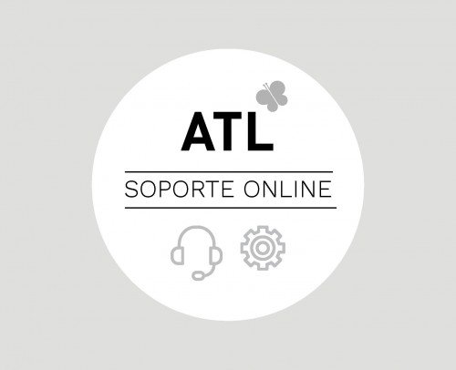 Soporte Online Anydesk
