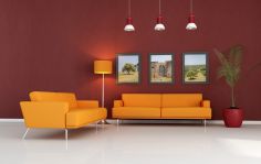 OUTLET Y EXPOSICION