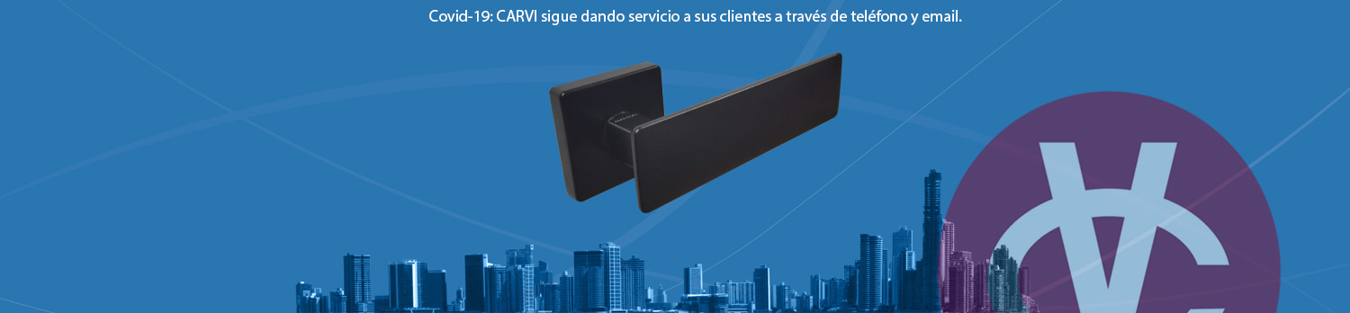Carvi S.L.