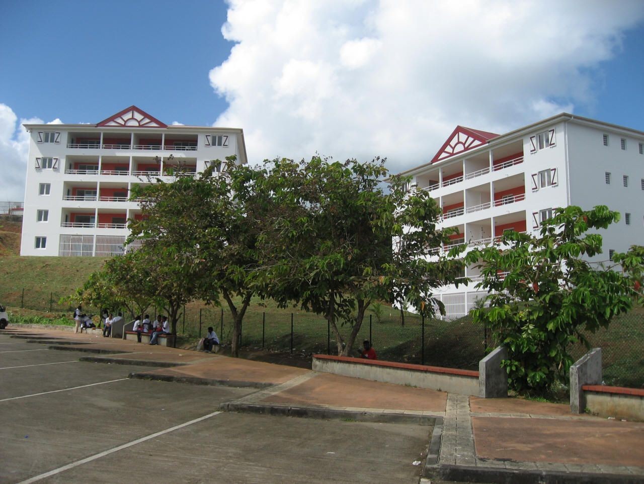 Martinique Export Reynalco