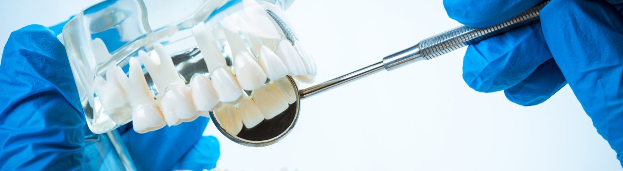 Prótesis dental :: Estilo13c