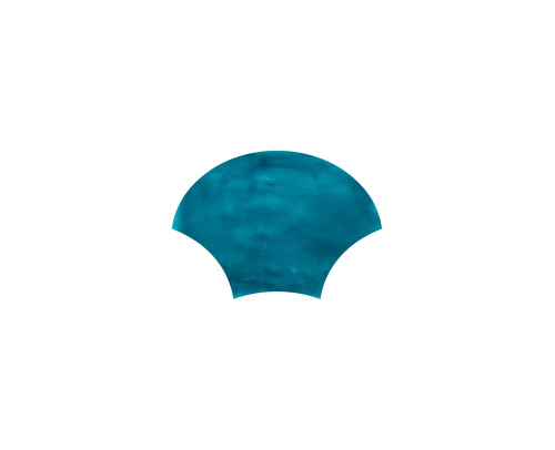 Shell 10x14,2x1 cm