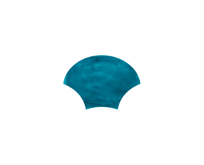 Shell 10x14,2x1 cm