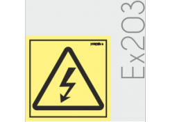 EXTINCIÓN EX203