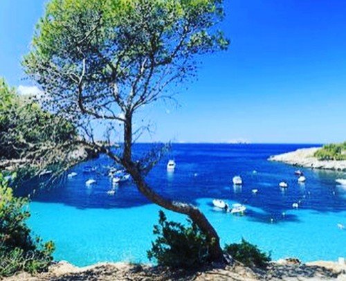 Javea the Cap !