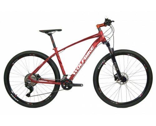 LINKTROPHY 1.2 29'' T6000 2x10 ( 30 Silver Aire 100mm)