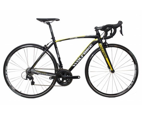 PROAL X1 2 11V 105
