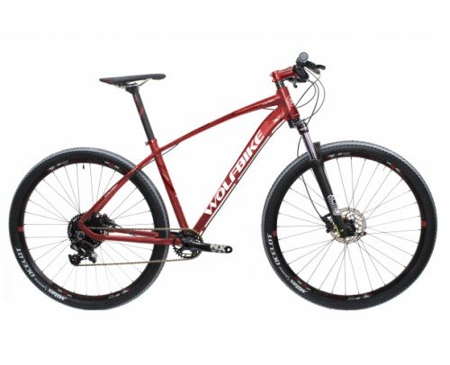 LINKTROPHY 1.2 29 NX-1 (Rs sontour XCM RL)