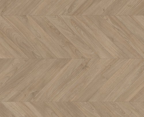 Roble Pardo Chevron