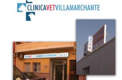 Rotulo luminoso para la Clinica Veterinaria Vilavet Villamarxante